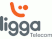 Ligga Telecom